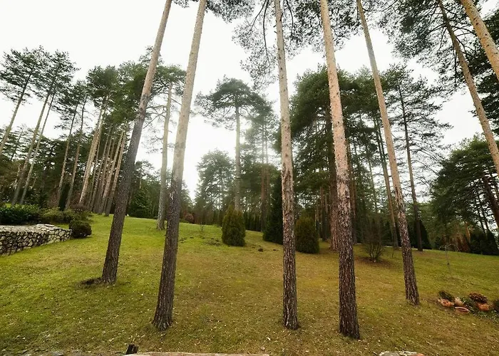 Konaci 兹拉蒂博尔